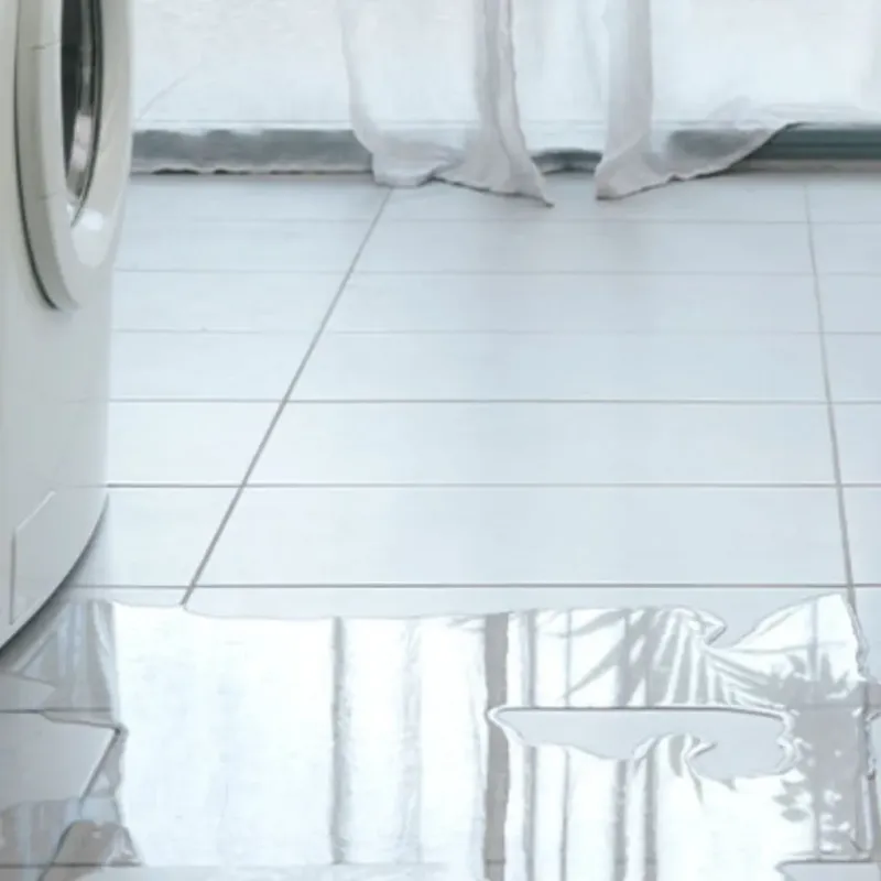 Appliance Leak Cleanup in Saint Ann, MO