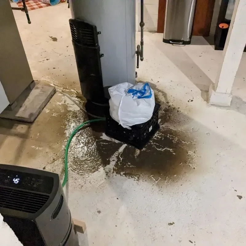 Sewage Backup Cleanup Service in Saint Ann, MO